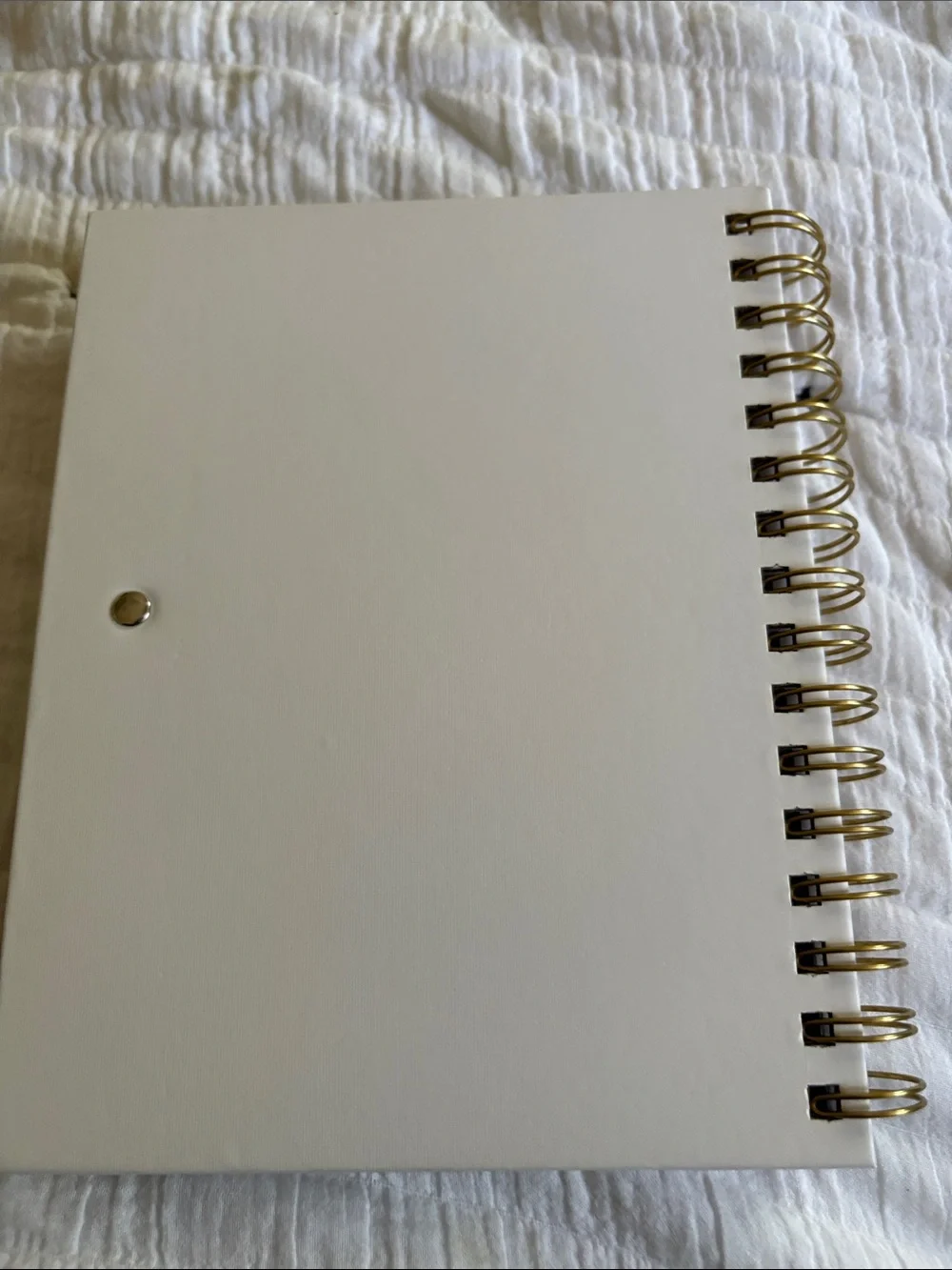 Expressions Pink, Peach and Gray Productivity Journal with Green Pen Loop